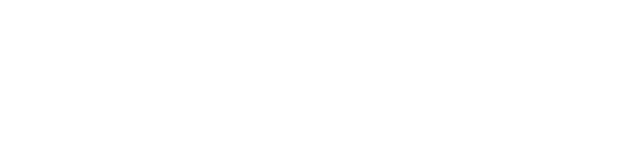 Logo White